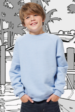 Bild Raglan Sweat Kids