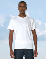 Bild Mens Organic T-Shirt