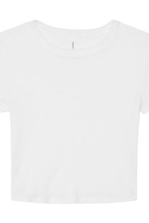 Women`s Micro Rib Baby Tee