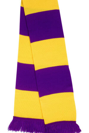 Team Scarf