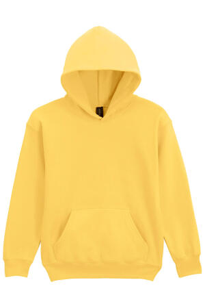 Softstyle Midweight Fleece Youth Hoodie