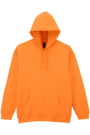 Softstyle Midweight Fleece Adult Hoodie
