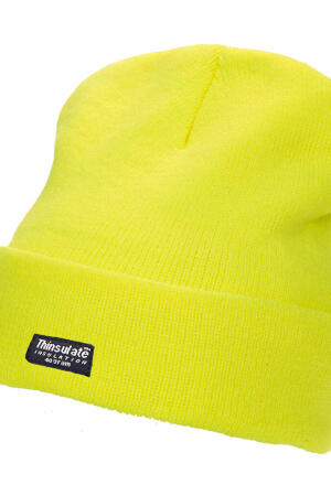 Hi-Vis Thinsulate™ Hat