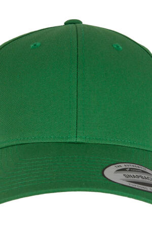 Curved Classic Snapback