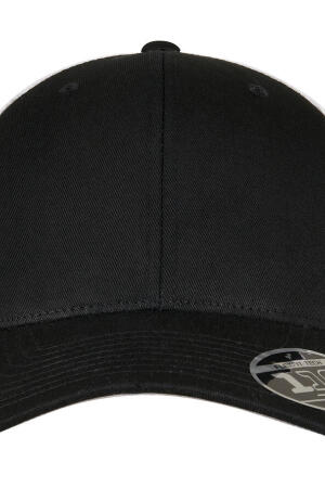 110 Mesh 2-Tone Cap