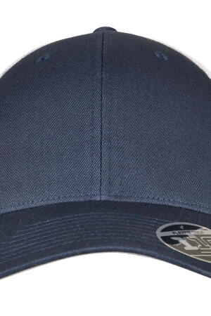 110 Mesh 2-Tone Cap