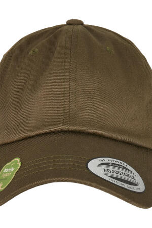 Low Profile Organic Cotton Cap