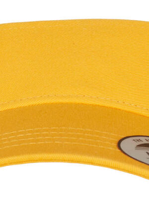 Curved Visor Cap