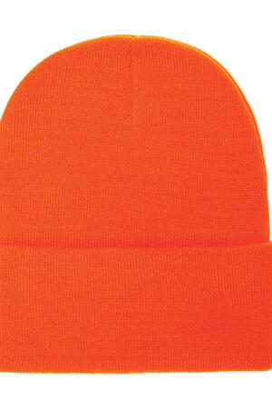 Classics Thinsulate Cuffed Beanie