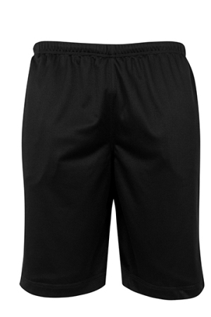 Mesh Shorts