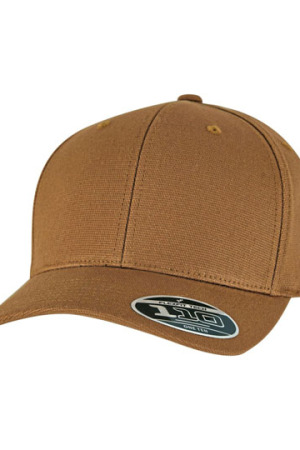 Flexfit 110 Curved Snapback