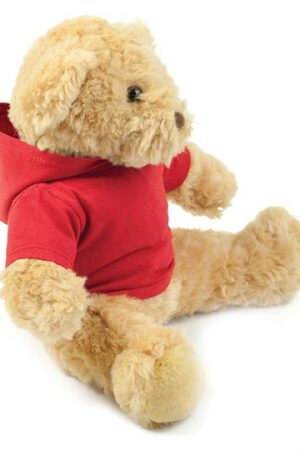Teddy Hoodie T-Shirt