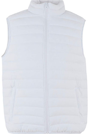 Light Puffer Vest