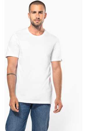 Herren Bio-T-Shirt 