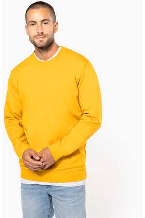 Sweatshirt mit Rundhalsausschnitt