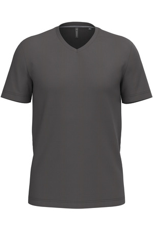 Men's short-sleeved V-neck T-shirt