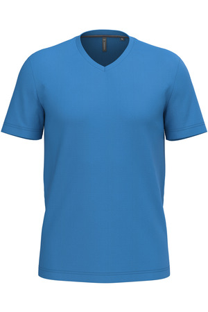 Men's short-sleeved V-neck T-shirt
