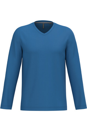 Men's long-sleeved V-neck T-shirt
