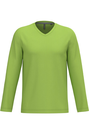 Men's long-sleeved V-neck T-shirt