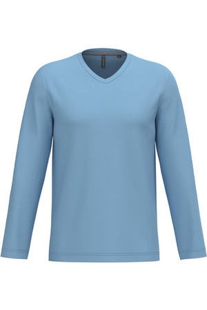 Men's long-sleeved V-neck T-shirt