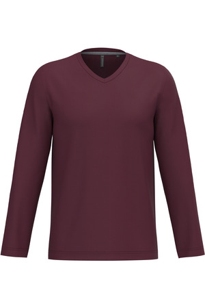 Men's long-sleeved V-neck T-shirt