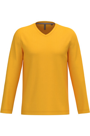 Men's long-sleeved V-neck T-shirt
