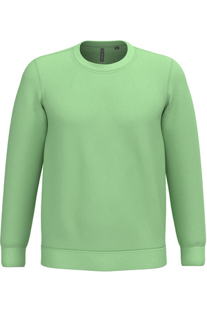 Sweatshirt mit Rundhalsausschnitt