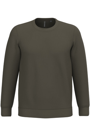 Sweatshirt mit Rundhalsausschnitt