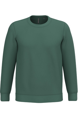 Sweatshirt mit Rundhalsausschnitt