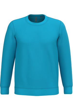 Sweatshirt mit Rundhalsausschnitt