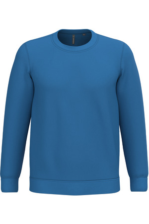 Sweatshirt mit Rundhalsausschnitt