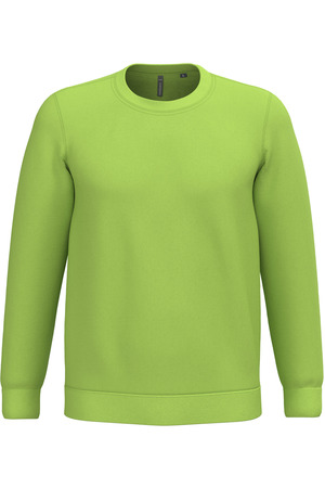 Sweatshirt mit Rundhalsausschnitt