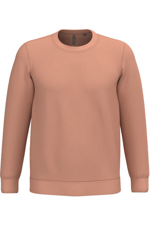 Sweatshirt mit Rundhalsausschnitt