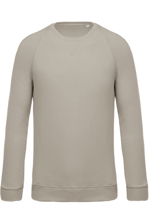 Herren Sweatshirt BIO-BAUMWOLLE Rundhalsausschnitt Raglanärmel