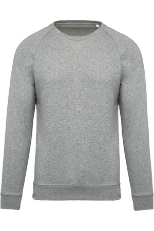 Herren Sweatshirt BIO-BAUMWOLLE Rundhalsausschnitt Raglanärmel H