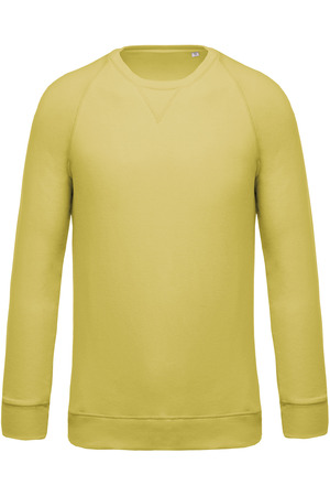 Herren Sweatshirt BIO-BAUMWOLLE Rundhalsausschnitt Raglanärmel