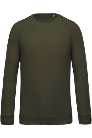 Herren Sweatshirt BIO-BAUMWOLLE Rundhalsausschnitt Raglanärmel