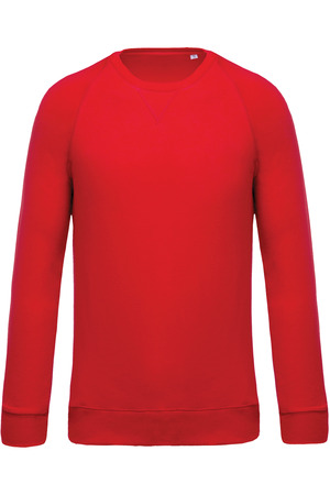 Herren Sweatshirt BIO-BAUMWOLLE Rundhalsausschnitt Raglanärmel