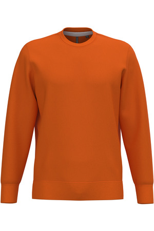 Sweatshirt mit Rundhalsausschnitt