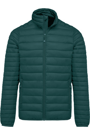 Leichte Steppjacke für Herren