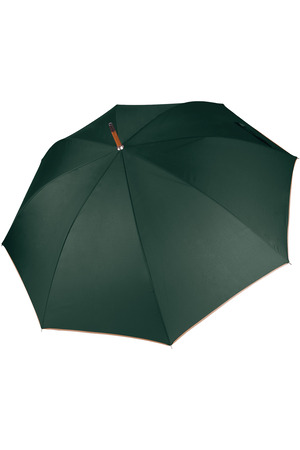 Holzstock Regenschirm