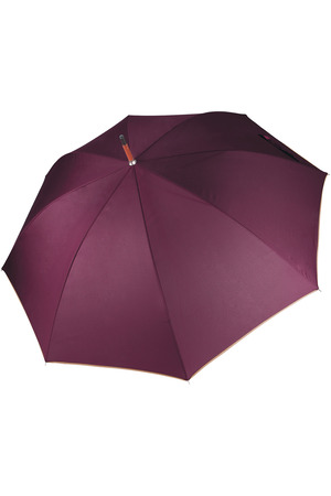 Holzstock Regenschirm