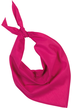Fiesta - Bandana