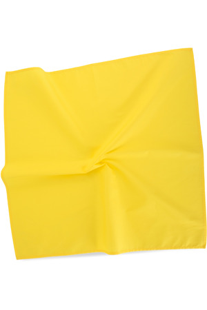 Quadratisches Bandana
