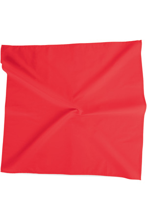 Quadratisches Bandana